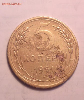 5 копеек 1951 3.21 Б-пореже-АИФ(200УЕ) бюджетно-до 20 11 14 - 032_cr