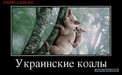Ну а теперь про Украину - 715