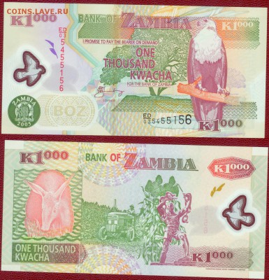 Замбия 1000 квача, 2005 год-пластик, до 21.00 мск 22.11.14 - Замбия  1000 квача