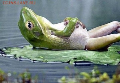 Вопросом на вопрос! - image (12)