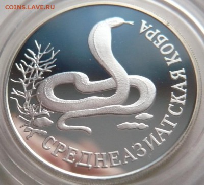 1 руб. 1994 г. к.к. Кобра до 22-00.21.11.14 г. мск - P1300604.JPG