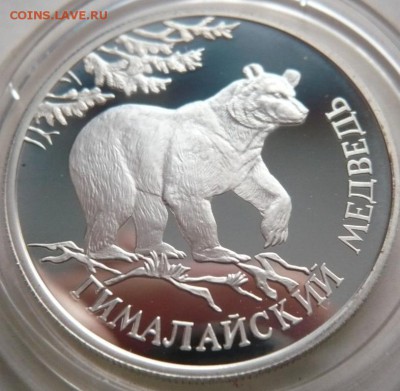 1 руб. 1994 г. к.к. Медведь до 22-00.21.11.14 г. мск - P1300602.JPG