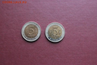 КК 1991 Г. РЫБНЫЙ ФИЛИН.ВИНТОРОГИЙ КОЗЕЛ. - IMG_5144.JPG