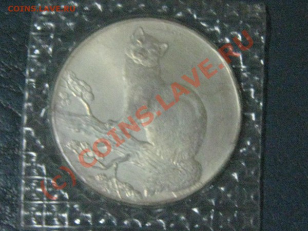 соболь 1995г серебро до 03.05.10 22:50 - IMG_1605