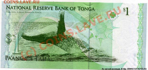 Животные на банкнотах - tonga_2008_1_pnew_b