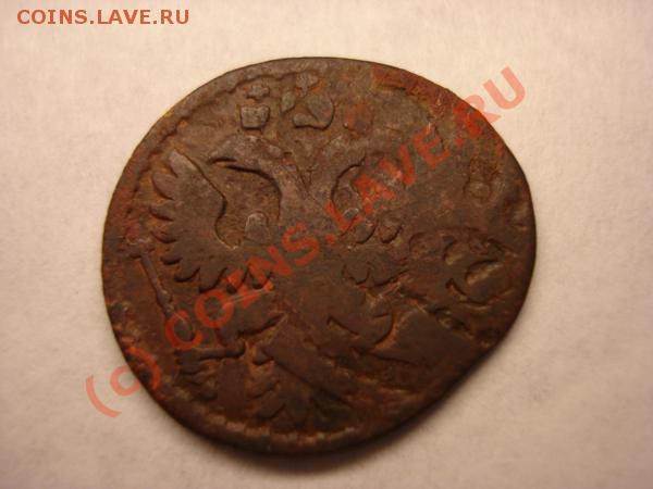 полушка 1736 тройной удар - DSC02322