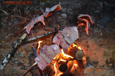 Что будет дальше с нашим "деревянным" (рублем)? - чобс 1.JPG