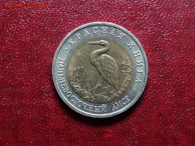 Красная книга 50р 1993 Аист до 20.11 22:00 МСК - DSC05447.JPG