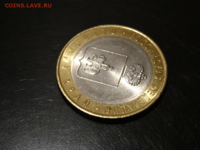 Пермский край 2010 год мешковая 23 ноября 2014 23:00 мск - DSC02016.JPG