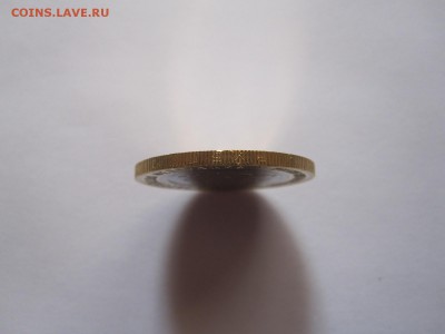 Алания гурт Сочи из мешка 6 штук 20.11 22:05 - IMG_4900.JPG