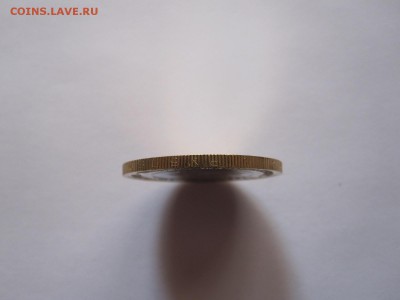 Алания гурт Сочи из мешка 6 штук 20.11 22:05 - IMG_4897.JPG
