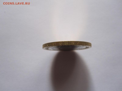 Алания гурт Сочи из мешка 6 штук 20.11 22:05 - IMG_4894.JPG