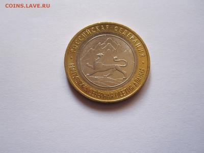 Алания гурт Сочи из мешка 6 штук 20.11 22:05 - IMG_4892.JPG
