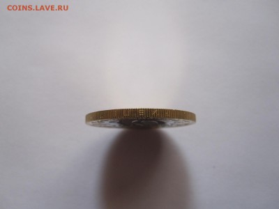 Алания гурт Сочи из мешка 6 штук 20.11 22:05 - IMG_4909.JPG