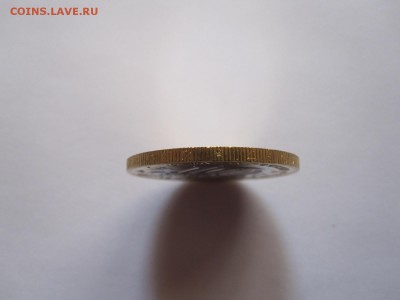Алания гурт Сочи из мешка 6 штук 20.11 22:05 - IMG_4906.JPG