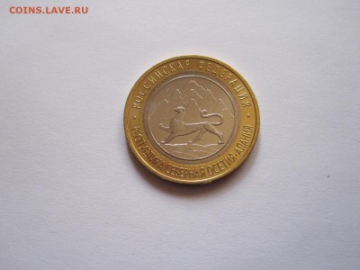 Алания гурт Сочи из мешка 6 штук 20.11 22:05 - IMG_4904.JPG