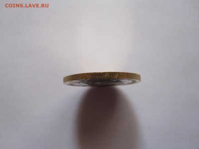 Алания гурт Сочи из мешка 6 штук 20.11 22:05 - IMG_4903.JPG