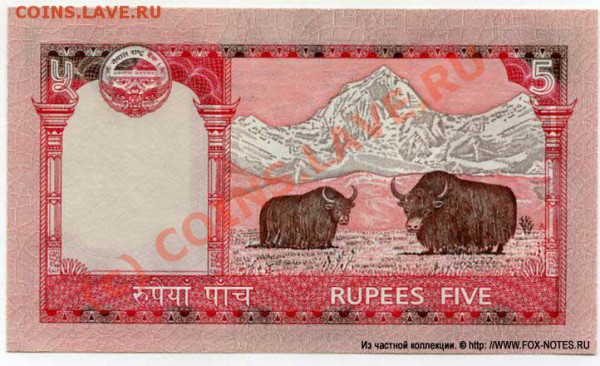 Животные на банкнотах - nepal_2009_5_pnew_b