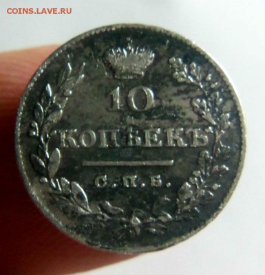 10 копеек 1826 года - крылья вниз .23-11-2014 в 22-00 мск. - 108.JPG