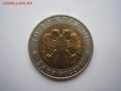 КК Песчаный слепыш 1994г. до 22.11.2014 22.00 мск - PB180007.JPG