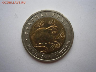 КК Песчаный слепыш 1994г. до 22.11.2014 22.00 мск - PB180008.JPG