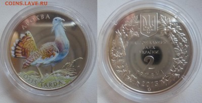 ДК Украина 2 гривны 2013 Дрохва 24.11 22.00 - P1090040.JPG