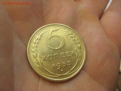 5 копеек 1953 ---------------- 26.11.14, в 22.10 - IMG_2464.JPG
