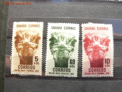 Марки Испанской Сахары "СТРАУСЫ" Полная  серия - P2000990.JPG