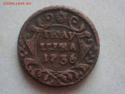 Полушка 1736 г - SDC13318.JPG