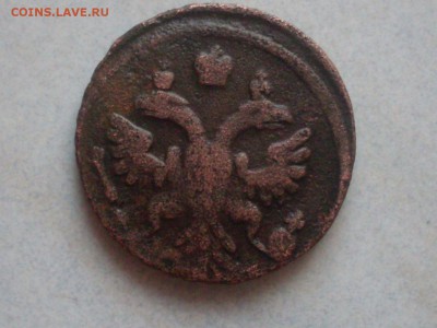 Полушка 1736 г - SDC13319.JPG