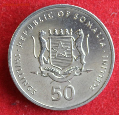 С 1 РУБ. СОМАЛИ 50 шиллингов 2002г.ОБЕЗЬЯНА до 27.11.14г. - IMG_2648.JPG