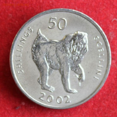 С 1 РУБ. СОМАЛИ 50 шиллингов 2002г.ОБЕЗЬЯНА до 27.11.14г. - IMG_2647.JPG