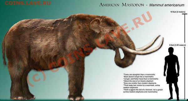 Aeolus- репутация 300!!! - 800px-High_res_mastodon_rendering
