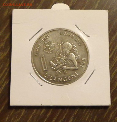 СВАЗИЛЕНД - ФАО! 1 лилангени 1981 АЦ до 28.11, 22.00 - Свазиленд ФАО