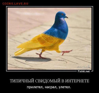 Ну а теперь про Украину - ZxuJ8vcnB5I