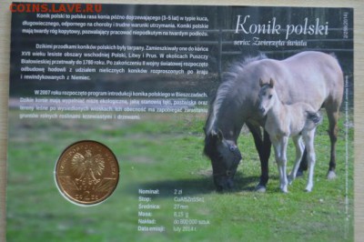 ПОЛЬША 2 злотых БЛИСТЕР до 25.11.14г., 22.00 мск. - 14а
