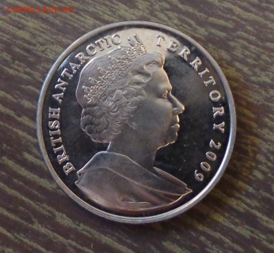 БРИТАНСКАЯ АНТАРКТИКА - КИТ, ПИНГВИНЫ, ТЮЛЕНИ 28.11, 22.00 - брит. антарктические территории животные - 2