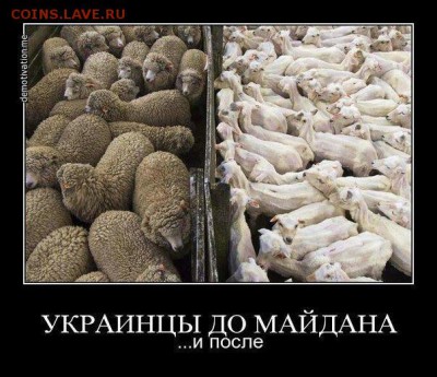 Ну а теперь про Украину - B2tBw3MCUAAhVtA.jpg large