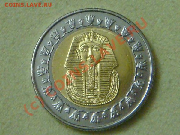 -v- Египет 1 фунт 2007г.(бимет.) до 6.05(21.00) - 3DSC04851.JPG