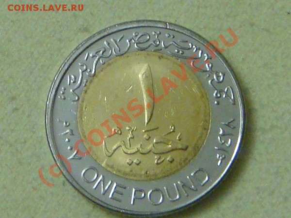 -v- Египет 1 фунт 2007г.(бимет.) до 6.05(21.00) - 4DSC04852.JPG
