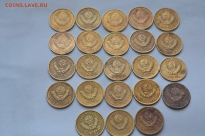... 1 копейка - погодовка до 27,11,14 - DSC_2138.JPG