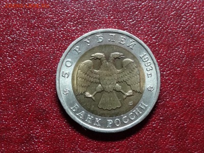 КК 50р 1993 Аист до 27.11 22:00 МСК - DSC05486.JPG