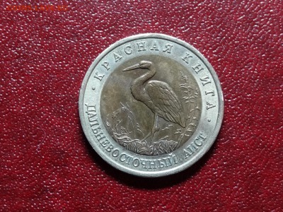 КК 50р 1993 Аист до 27.11 22:00 МСК - DSC05485.JPG