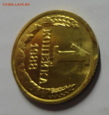 1 копейка 1988 выкус до 27.11.2014 г. 22:00 МСК - DSC09057.JPG