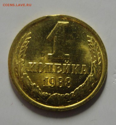 1 копейка 1988 выкус до 27.11.2014 г. 22:00 МСК - DSC09053.JPG