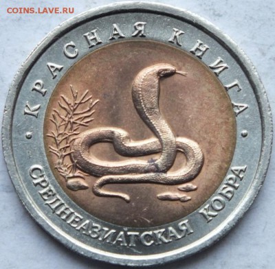 КК 10р 1992 Среднеазиатская кобра №1 до 30.11. 14. в  22:00 - DSCF9009