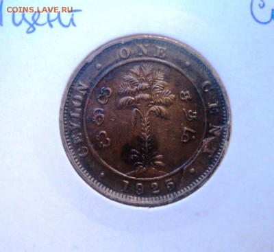 цейлон 1 цент 1925 года приличный скол штемпеля на оценку - DSC00501.JPG