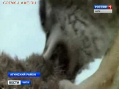 делает - прямо сейчас !!! - m_8469017