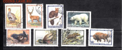 марки фауна СССР 1957г - 1п13