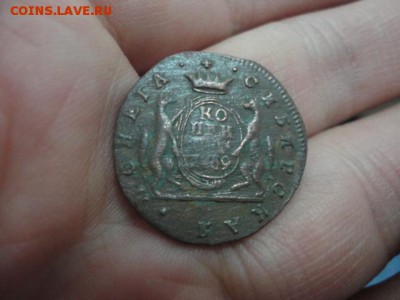 1 копейка сибирская 17?? км до 30.11.14. до 22-00 - DSC03618.JPG